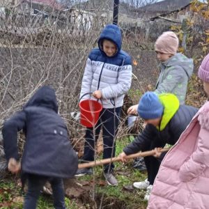 Astăzi dăm startul Campaniei „Înverzirea plaiului”