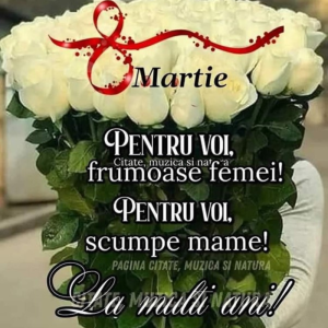 Mesaj de felicitare cu ocazia de 8 Martie